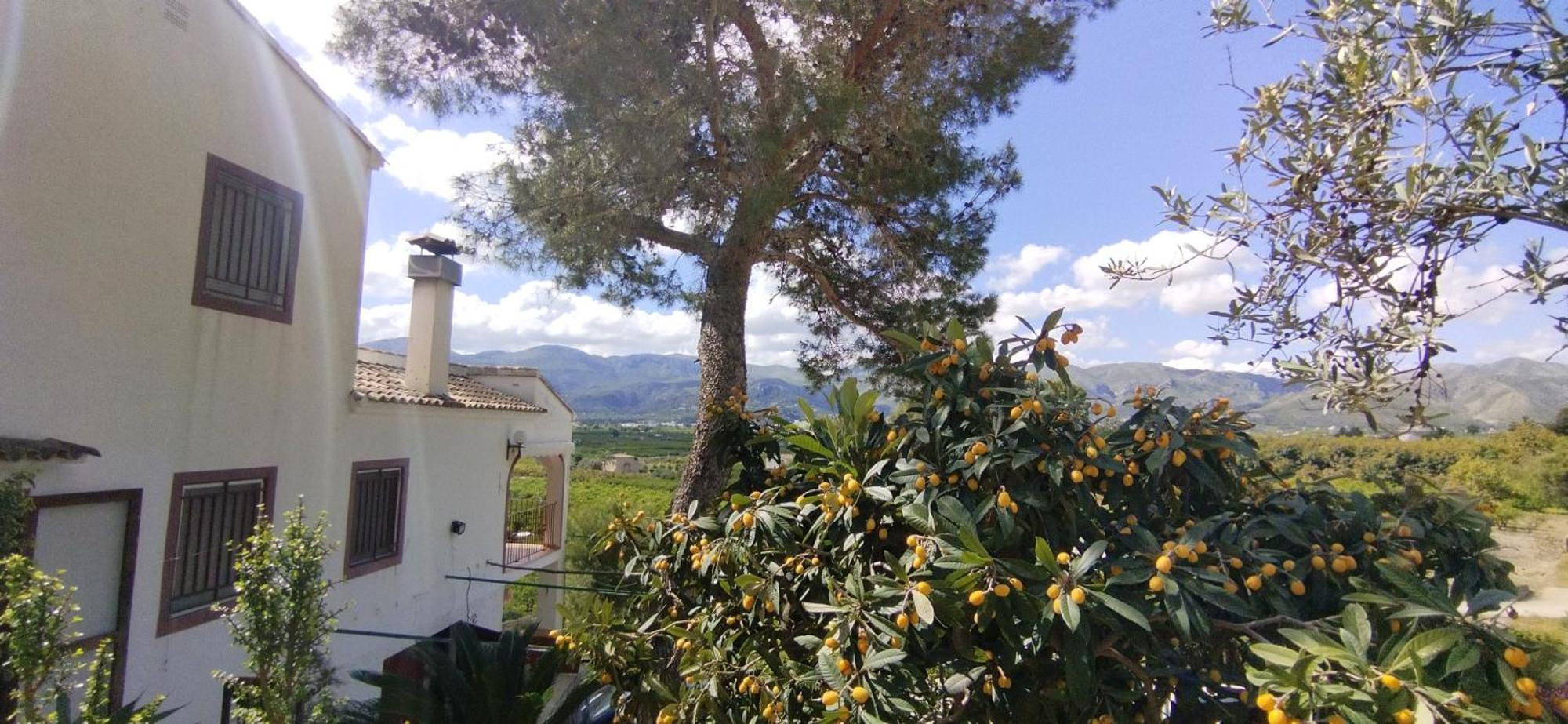 La Casa Maria *
